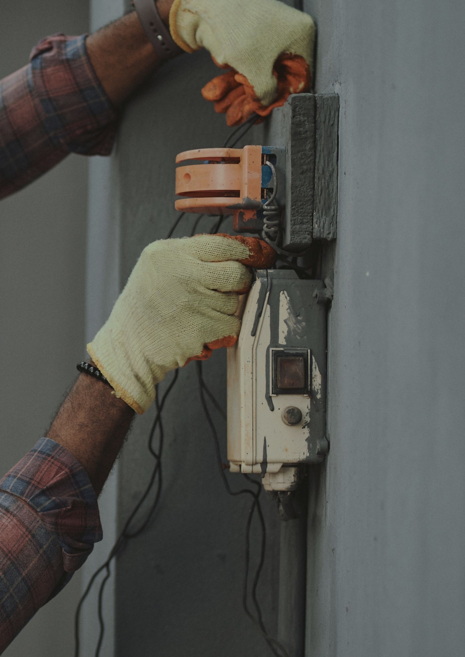 Marrón Perro Campaña Póster (13)